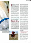 Spiegel-Aff�re (Cavallo 01/2013) 2/5