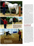 Spiegel-Aff�re (Cavallo 01/2013) 3/5