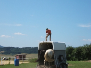Verladetraining vom H&auml;ngerdach