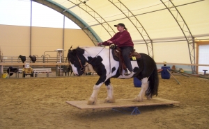 Trailreiten &uuml;ber die Wippe
