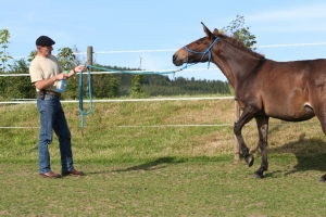 Antischrecktraining die Spr&uuml;hflasche