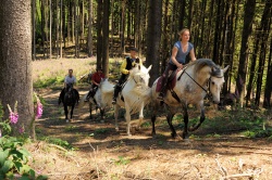Ausritte im Gel&auml;nde (Foto: Eva Wiesner)