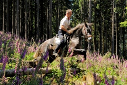 Auch nat&uuml;rliche Hindernisse sind gut zu &uuml;berwinden (Foto: Eva Wiesner)